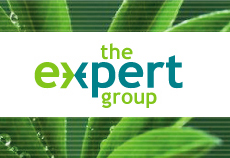 The Expert Group Logo