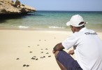 Shangri-La Resorts Muscat welcome first turtle nests of 2019