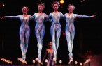 Cirque du Soleil employee found dead in hotel room